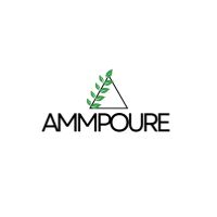 Ammpoure Discount Codes