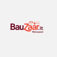 Bauzaar IT Discount Code