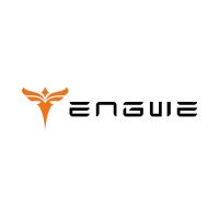 Engwe Bikes