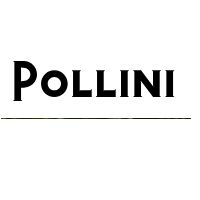 Pollini IT Coupon Codes