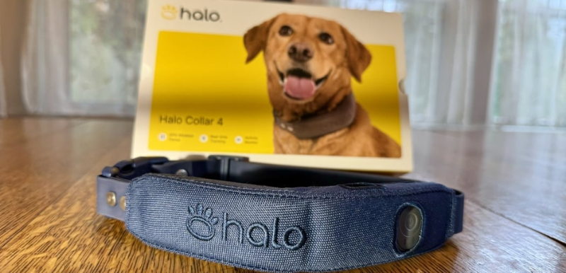 Halo Collar