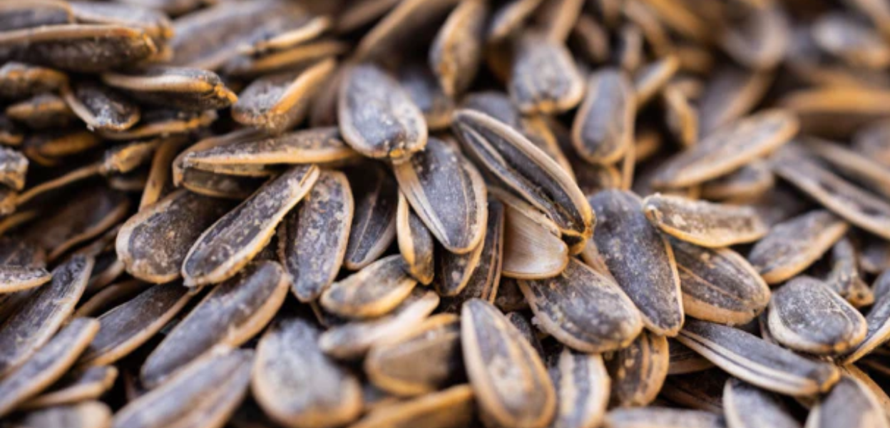 Smackin Sunflower Seeds