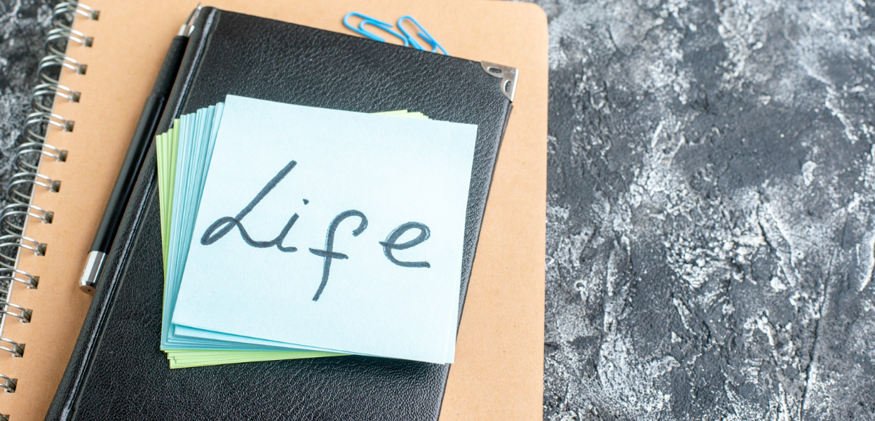 MADMONQ Guide For Focus And Energy Support