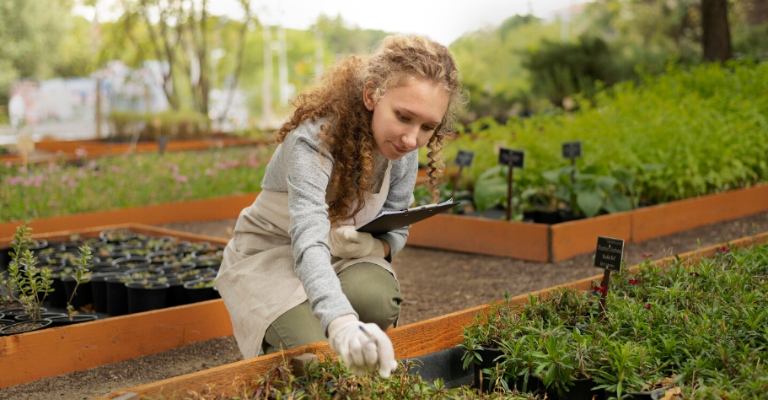 Vego Garden Raised Beds Review and Guide