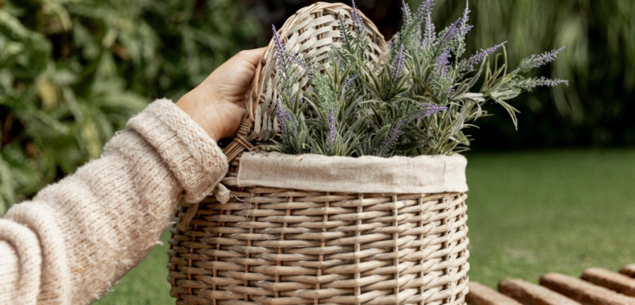 Best Coalatree Products for Sustainable Outdoor Living