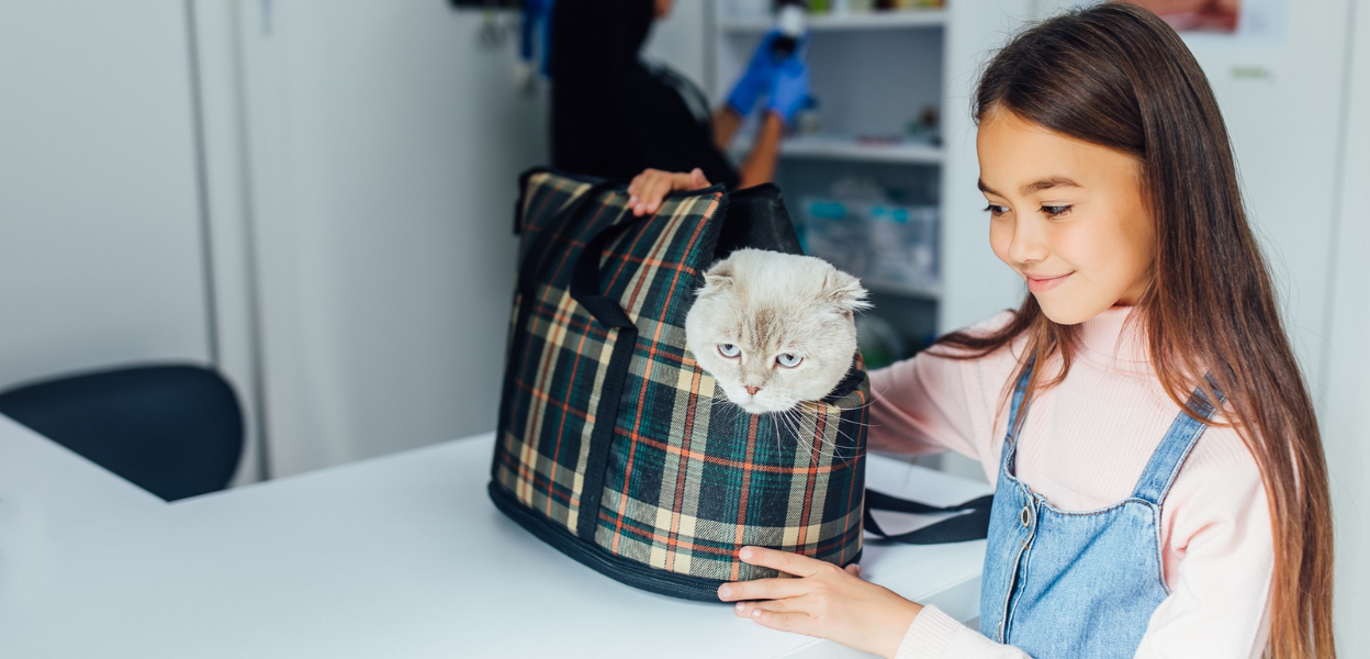 PawSwing Review: Is This Smart Cat Grooming Brand Worth Buying?