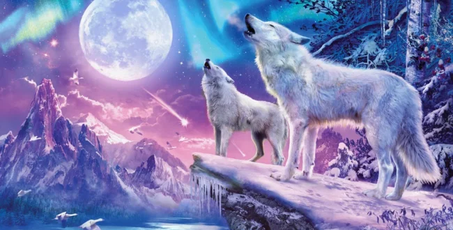 Wolves and Northern Lights