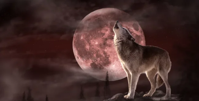 Wolf Moon